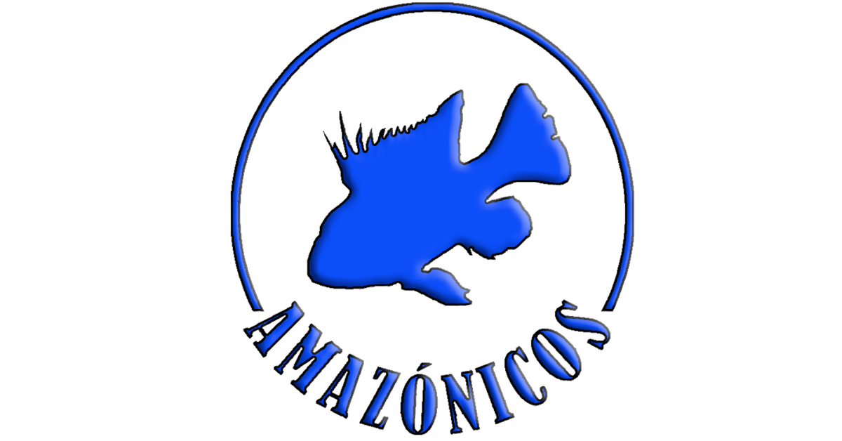 ACCESORIOS Y DECORACIONES